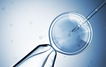 嘉圆国际：胚胎移植成功就代表怀孕了吗？